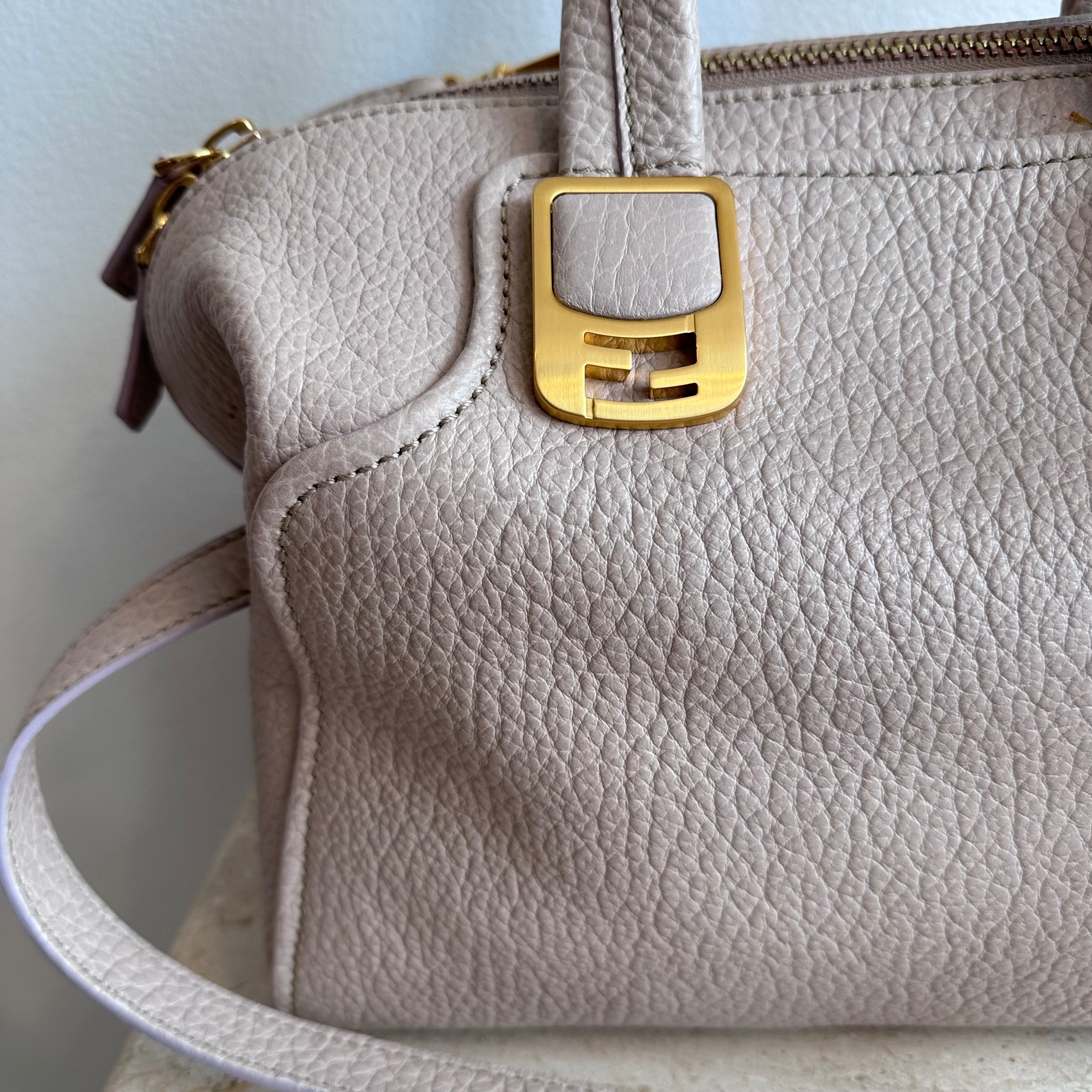 Pre-Owned FENDI Small Chameleon Tote