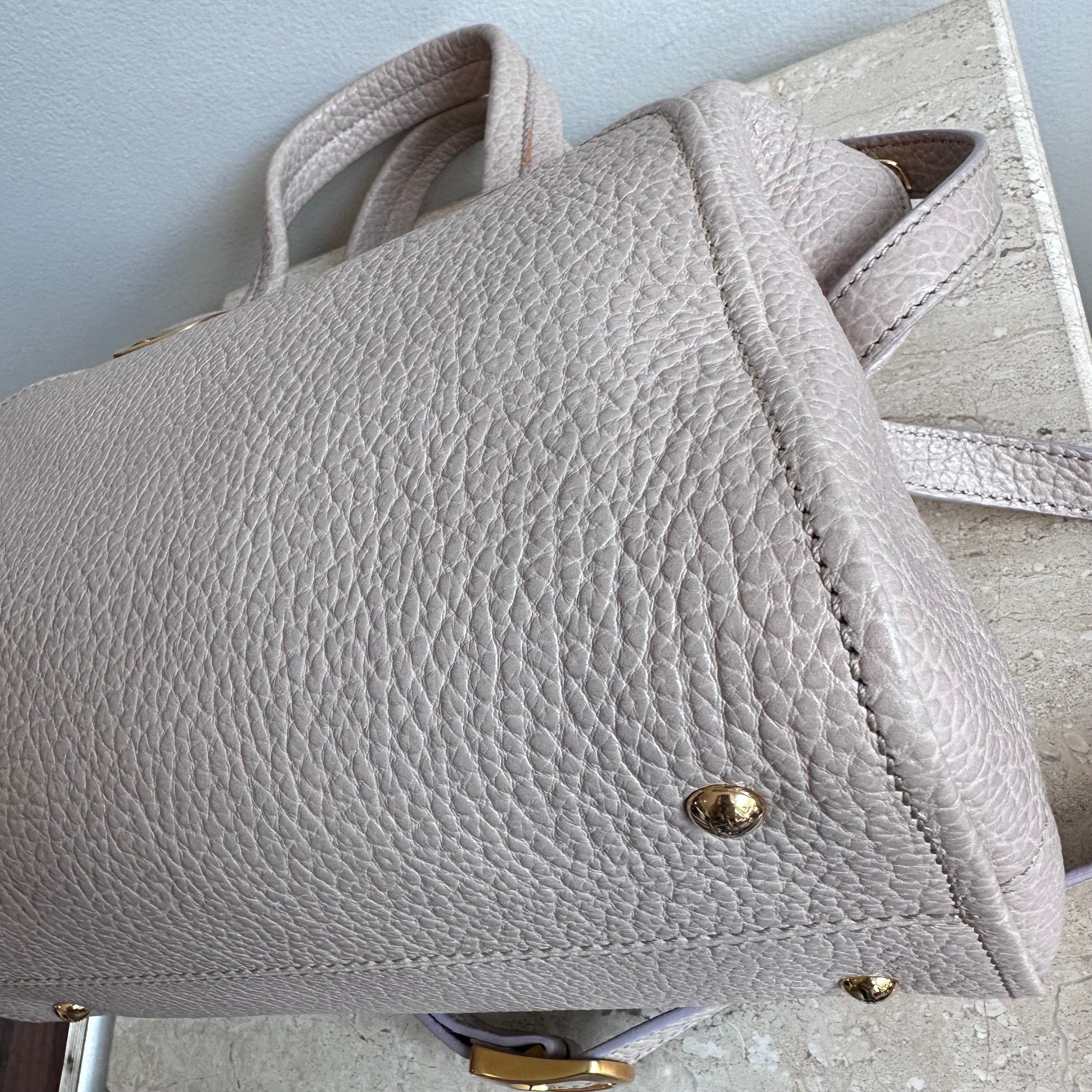 Pre-Owned FENDI Small Chameleon Tote