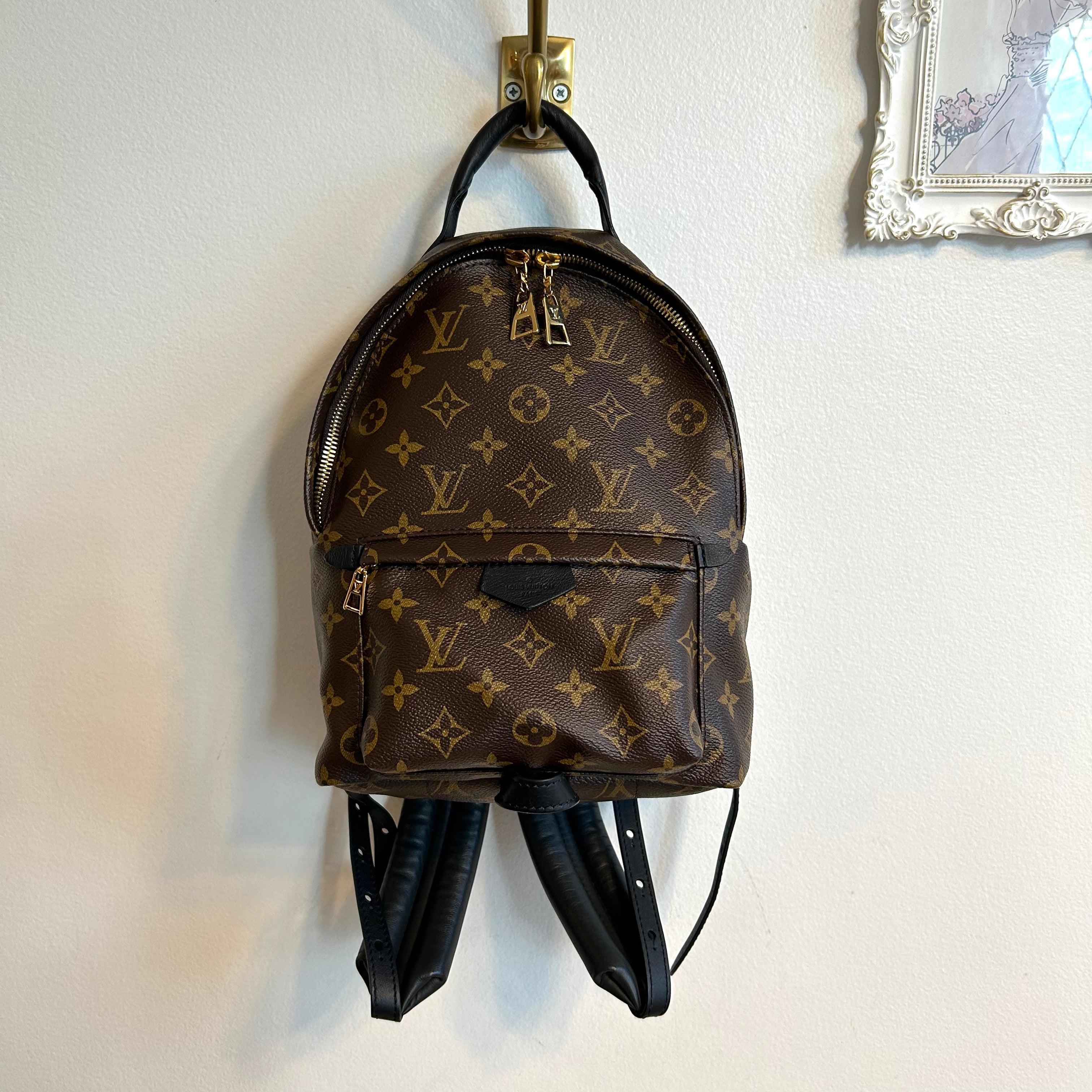 Louis Vuitton Monogram Palm Springs Backpack Pm - 5 For Sale on